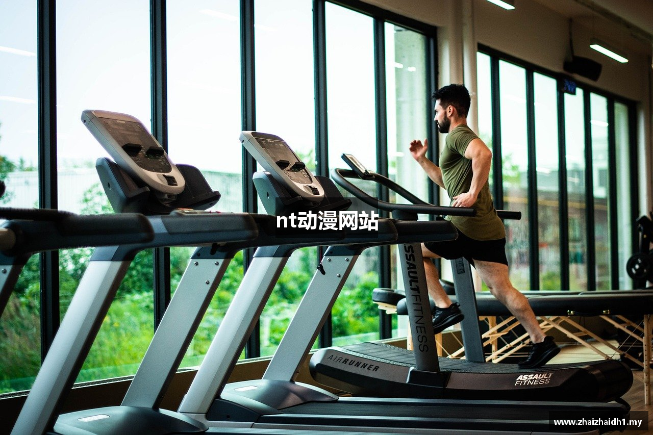 nt动漫网站